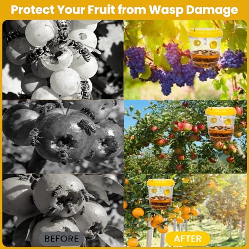 Upgraded Wasp Trap Outdoor Hanging, Reusable Yellow Jacket Trap with Bait Reservoir, Carpenter Bee and Hornet Catcher, Hanging Wasp Catcher for Outdoor Use