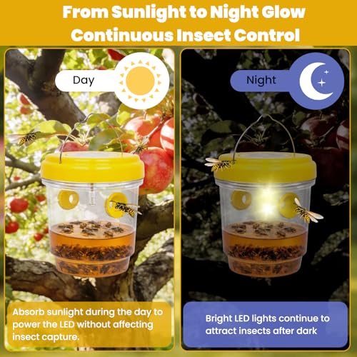 Upgraded Wasp Trap Outdoor Hanging, Reusable Yellow Jacket Trap with Bait Reservoir, Carpenter Bee and Hornet Catcher, Hanging Wasp Catcher for Outdoor Use