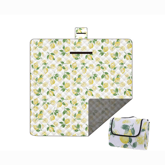 Outdoor Picnic Blanket Camping Mat 2*2M